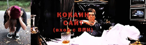 сатива Алзамай