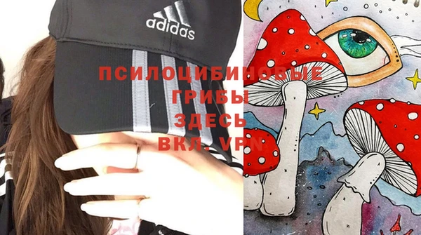 сатива Алзамай