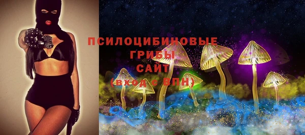 СК Алексеевка
